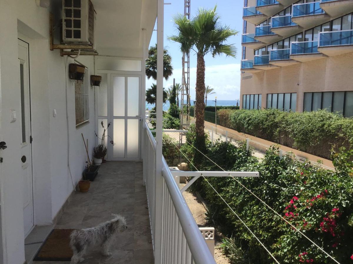 Carpe Diem Apartment El Albir Ngoại thất bức ảnh